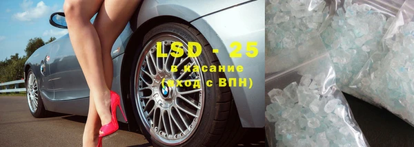 прущий лед Алзамай