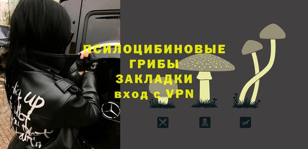 прущий лед Алзамай