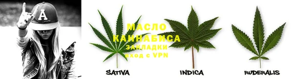 сатива Алексеевка