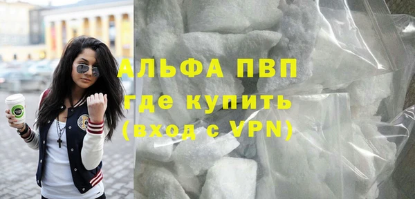 прущий лед Алзамай