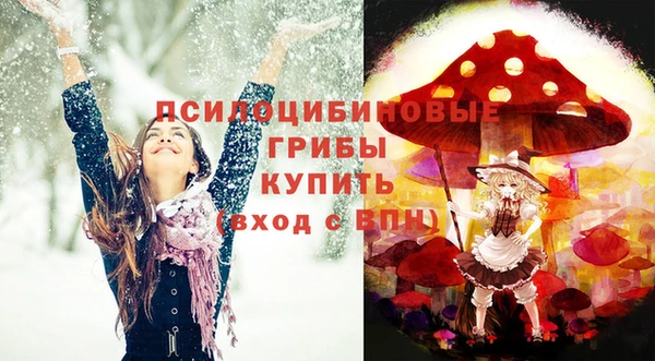 экстази Алексин